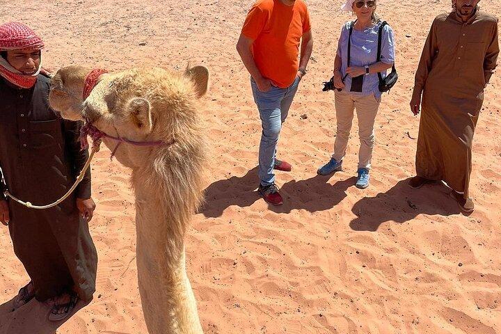 Full Day Tour Petra and Wadi Rum from Amman