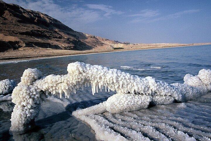 From Amman: Private Half Day Tour to Visit the Dead Sea