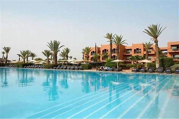 From Amman: Private Half Day Tour to Visit the Dead Sea