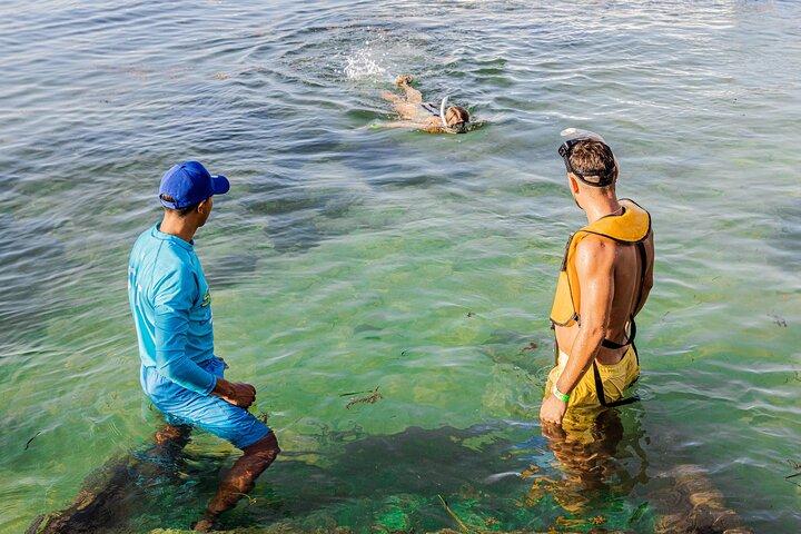 5-in-1 Cancun Snorkeling: Turtles, Reef, Musa, Shipwreck, Cenote