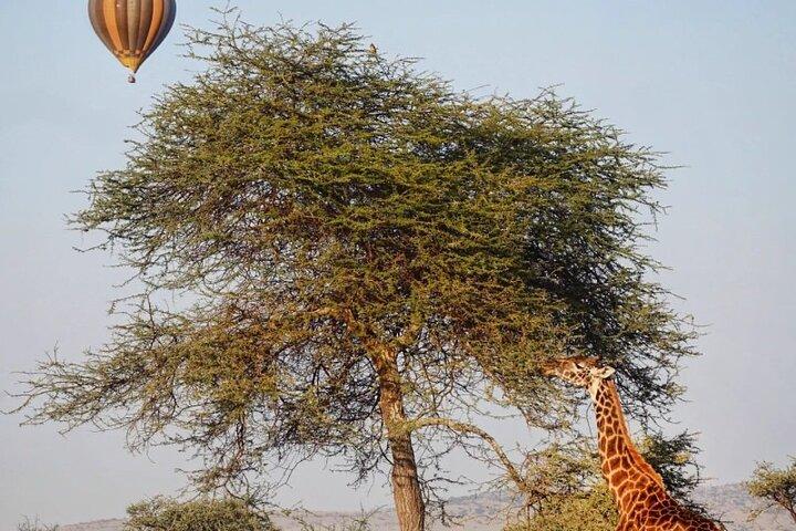 3 Days Group Safari Serengeti & Ngorongoro
