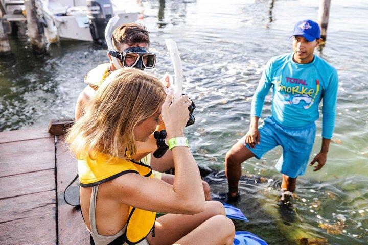 With Transport, Shipwreck, Cenote, and Reef and Turtles Included
