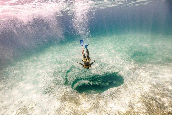 Snorkeling Tour with Turtles and Stingrays Puerto Morelos