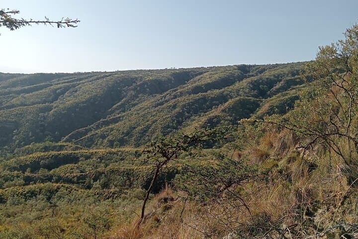 Day Tour to Mount Longonot National Park & Lake Naivasha