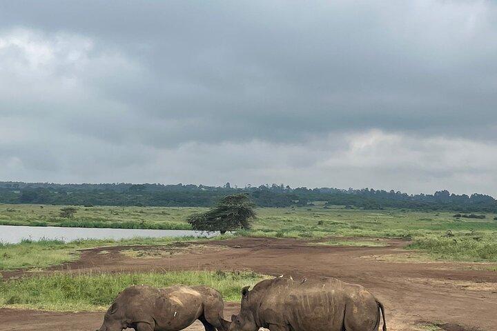 Olpejeta Lake Nakuru & Masai Mara 5 days and 4 nights.