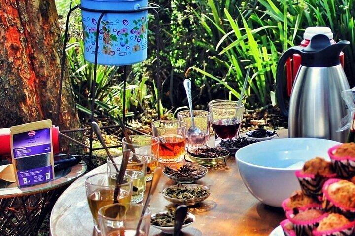 Gatura Greens Purple Tea Farm Private Tour From Nairobi