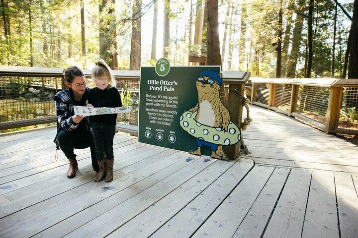 Capilano Suspension Bridge Park Ticket