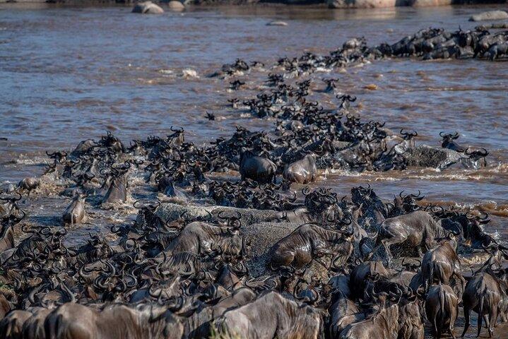 6 Days Private Tour in Wildebeest Migration Safaris