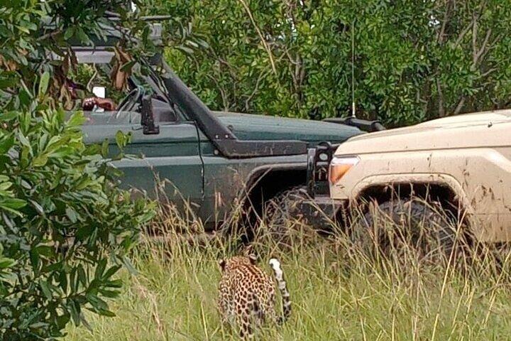 3-Day Maasai Mara Safari Tour in a 4 x4 Land Cruiser Jeep