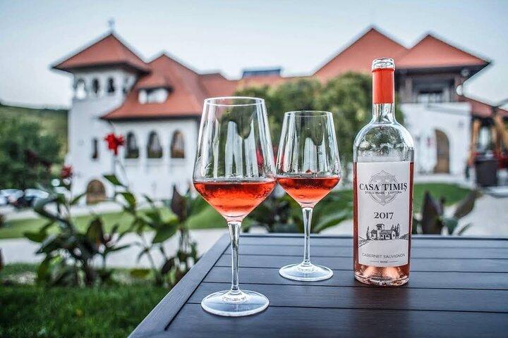 Private Tour to Salt Mine, Lunch at Winery and Dracula Grave