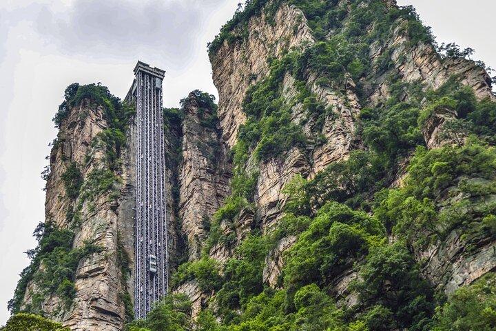 Full-Day Private Tour of Zhangjiajie National Forest Park