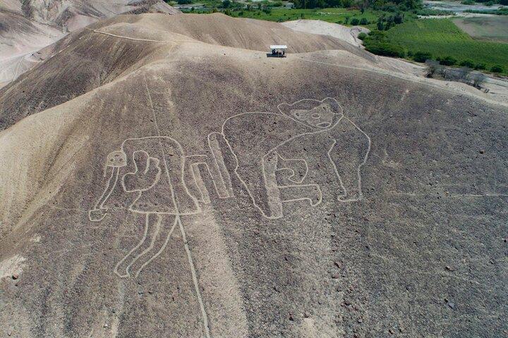 Private Tour Miradores Palpa Nazca with Nazca Lines Overflight
