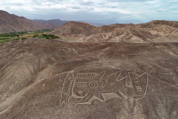 Private Tour Miradores Palpa Nazca with Nazca Lines Overflight