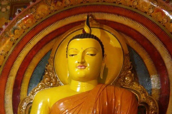 Meditation and Yoga Retreat in Central Province, Sri Lanka