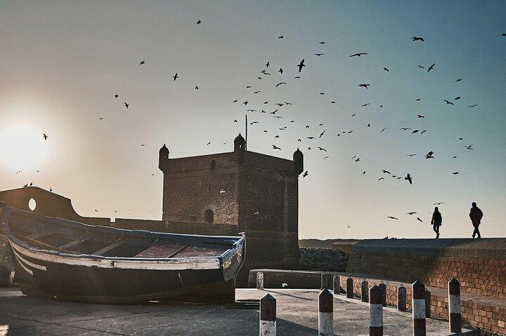 Full Day Tour To Essaouira From Marrakech