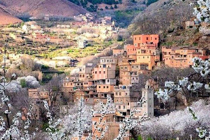 Camel Ride Day On Atlas Mountains And Three Valleys & Waterfalls
