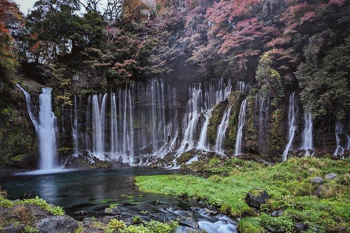 Full Day Tour to Mount Fuji with Guide in Spanish
