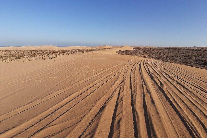 4×4 Jeep Desert Safari Tour with Lunch and Camel Ride