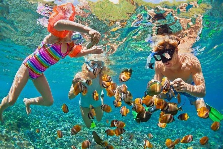 Tropical Punta Cana Booze Cruise – Snorkel, Sandbar & Party Vibes