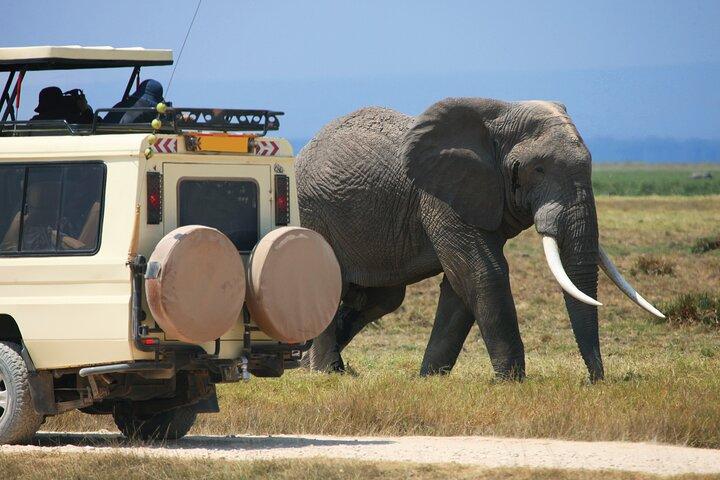 Full Day Private Adventure in Tarangire National Park
