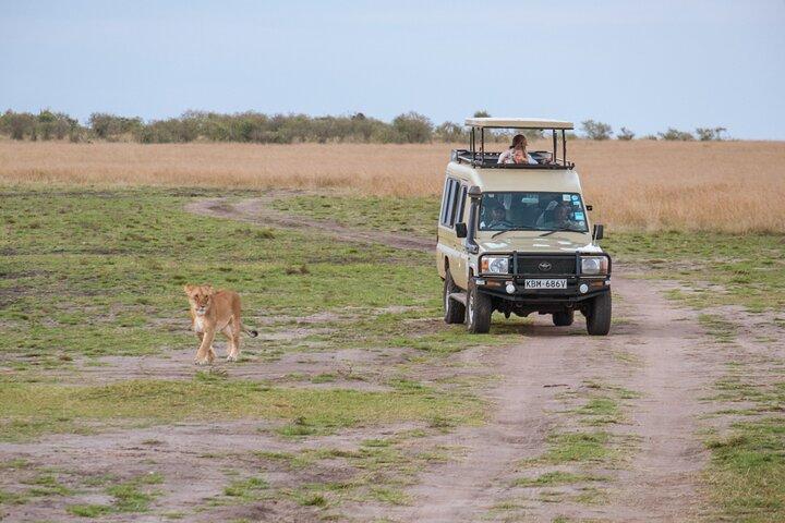 Full Day Private Adventure in Tarangire National Park