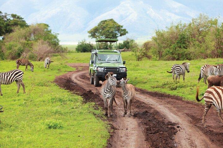 Full Day Private Adventure in Tarangire National Park