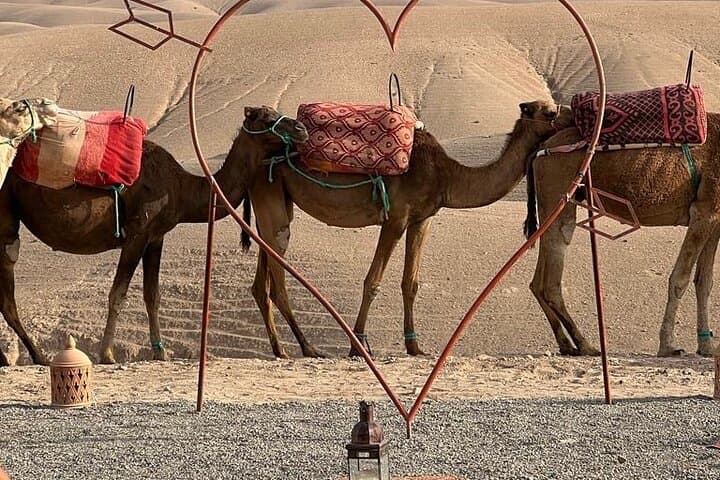 Agafay Desert : Dinner, show, Sunset & Access to the pool