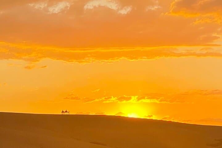 Agafay Desert : Dinner, show, Sunset & Access to the pool