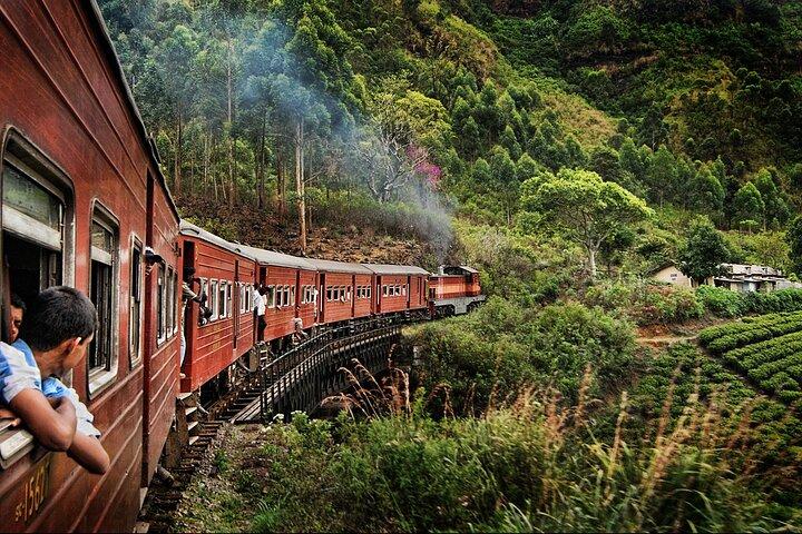 9-Day Private Sri Lanka Tour with Accomodation