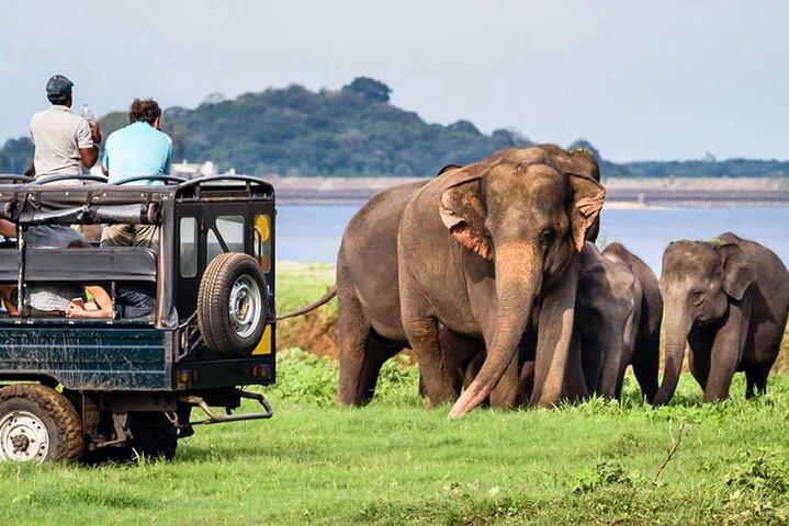 9-Day Private Sri Lanka Tour with Accomodation