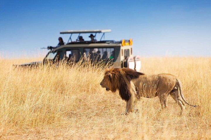 3 Days - 2 Nights Maasai Mara from Nairobi