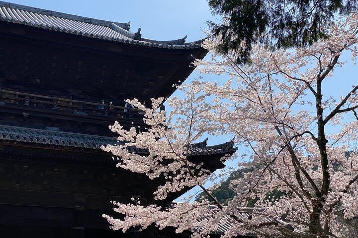 Kyoto Garden Tour and Mini Garden Making Experience