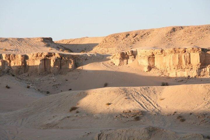 Kuwait City Border Farms & Desert Tour