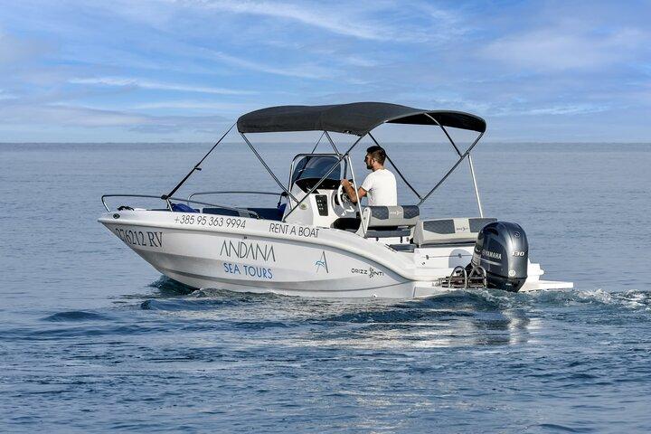 Rovinj Private Dolphin Watching Sunset Speedboat Tour with Drinks