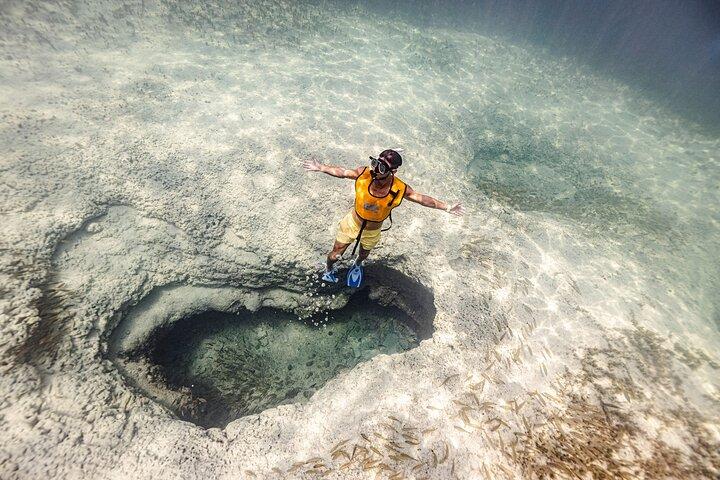 5-in-1 Cancun Snorkeling Tour with Sea Life & Transport Included