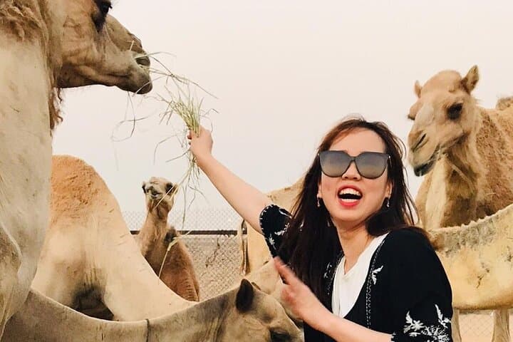 Self Drive Quad Bike in Open Desert With Sand Boarding and Camels