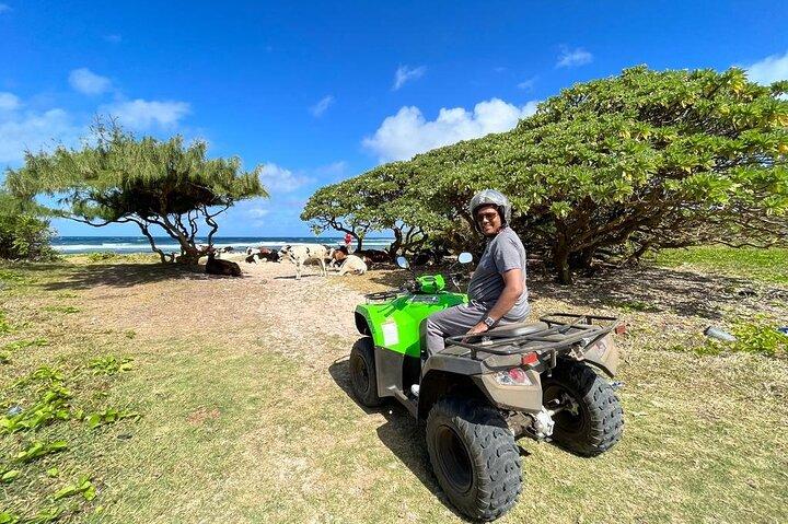 Quad Excursion South Mauritius 35km