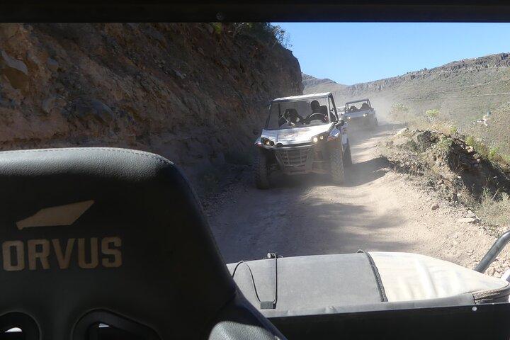 BEST BUGGY TOUR in the Afternoon with Transfers – South Area Only