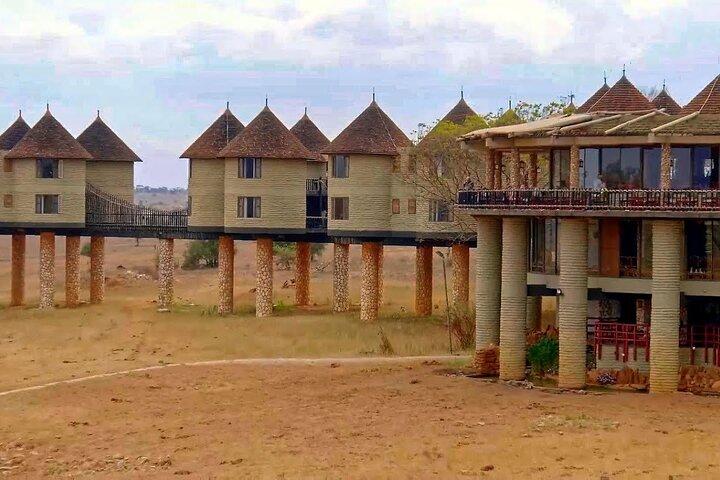3 Days 2 Nights Safari to Saltlick Lodge from Nairobi