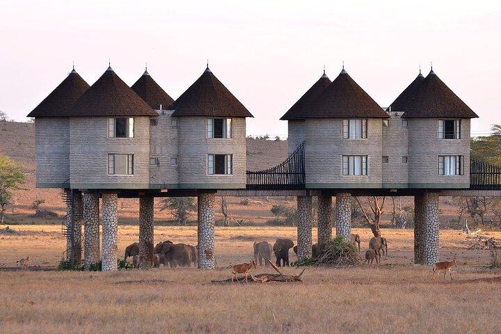 3 Days 2 Nights Safari to Saltlick Lodge from Nairobi