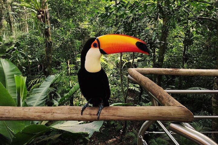 Bird Park General Admission Ticket and Tour