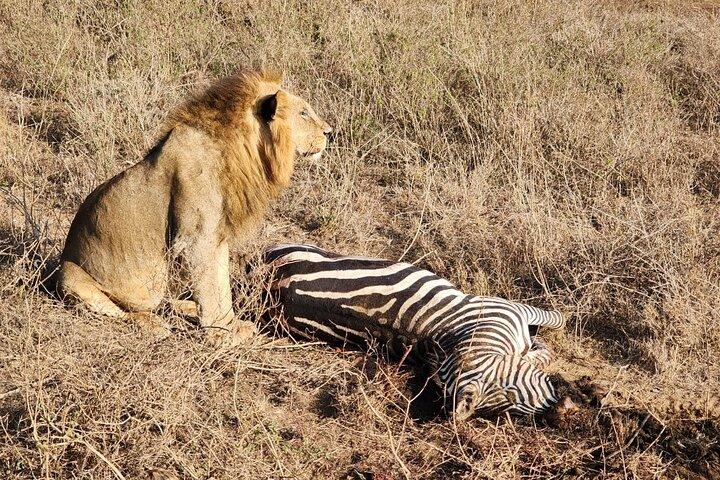 3 Days - 2 Nights Maasai Mara from Nairobi