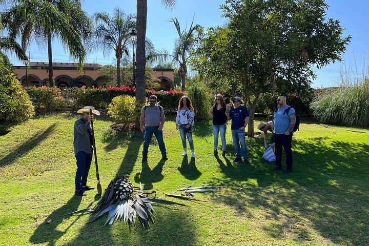 VIP Private Tequila Tour: Artisanal Distillery and Magical Town