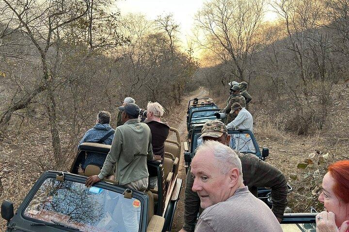 Ranthambore - Sharing Tiger Safari In Canter 20 seater Vehicle