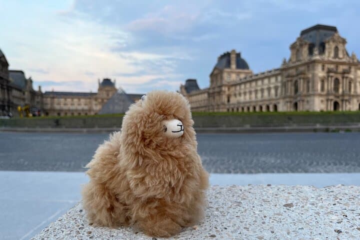 Private Paris City Night Sightseeing Tour by Car