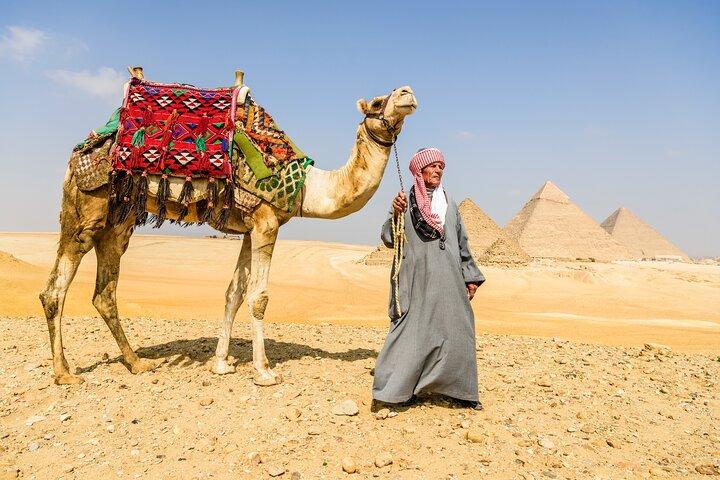 Private Half-Day Giza Pyramids & Great Sphinx Tour