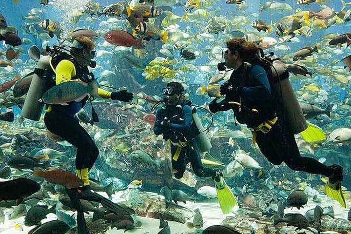 Scuba Diving at Jumeirah Dubai with Private Transfers