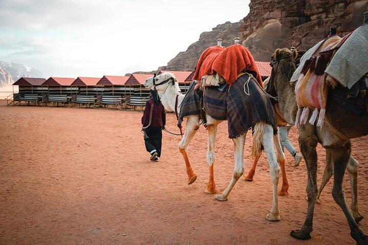 2-Day Jordan Guided Tour Petra, Wadi Rum and Dead Sea