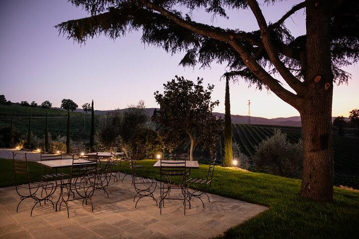 Montalcino: Brunello Wine Tasting & Tuscan Dinner