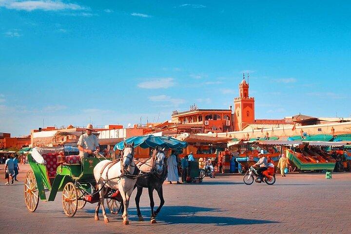 Marrakech Medina Tour With Private Licensed Guide (Private Tour)